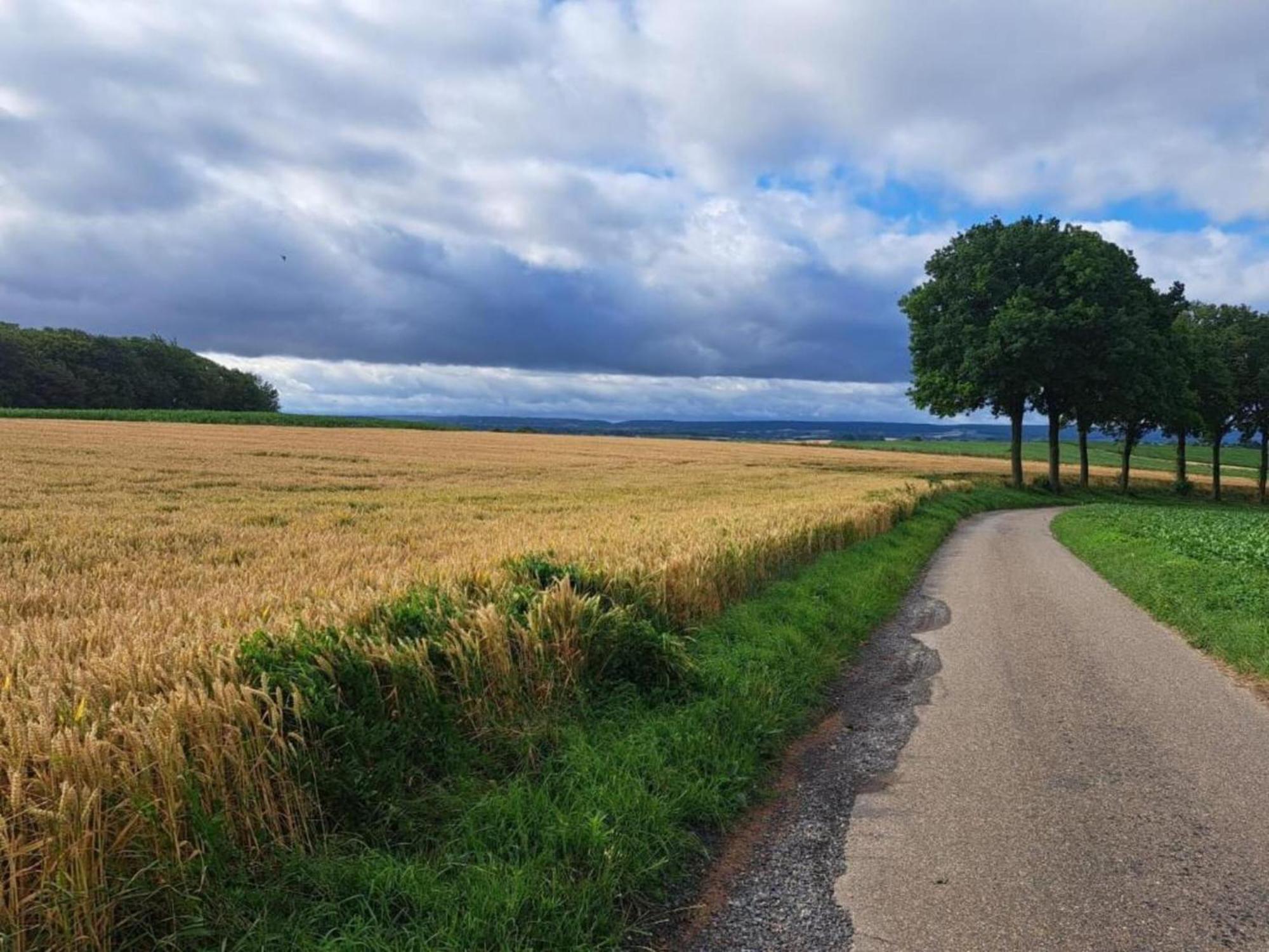 Rural In Well With Garden Holiday home Knikkerdorp